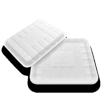 China TP220 Eco-Friendly Minimalist High Quality Disposable Biodegradable Compostable Food Container Cornstarch White Tray for sale