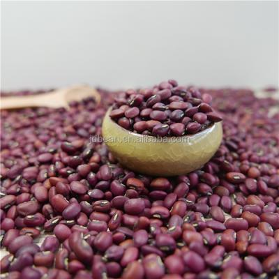 China 2021 New Dry Crop Red/White Beans of Cowpea (Vigna Beans) for sale