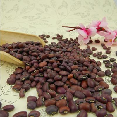 China High quality white red dwarf cowpea beans black eye cowpea cowpeas from china for sale for sale