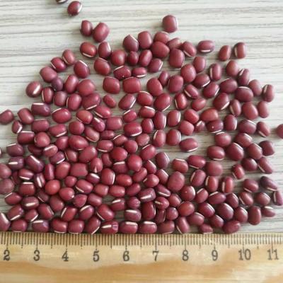 China China Dry Wholesales Adzuki Beans Small Red Beans Bamboo Beans For Sale for sale