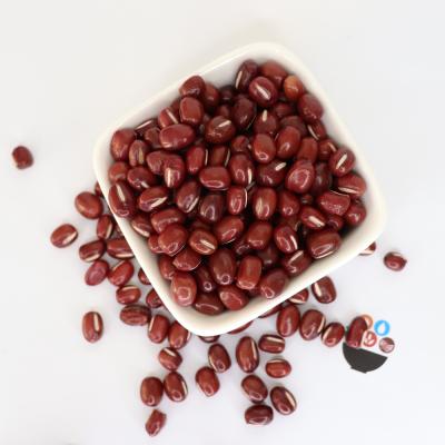 China High Quality Small Dry Red Kidney Beans Adzuki Beans Chinese Red Bean For Big Size for sale