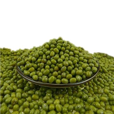 China China wholesale mung sprouting mung beans dry green green mung beans for sale