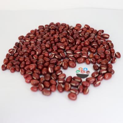 China Factory Price Nihewan Round Dry Chinese Type Shape 4.5mm - 6.0mm Adzuki Small Red Beans for sale