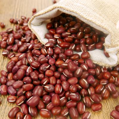 China Azuki Dried High Quality Dry Bean for sale