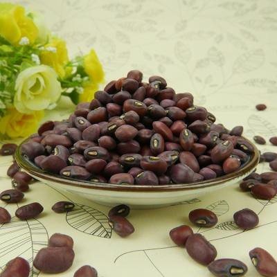 China New Cultivation China Dry Machine Cleaned Polished Red Cow Peas for sale