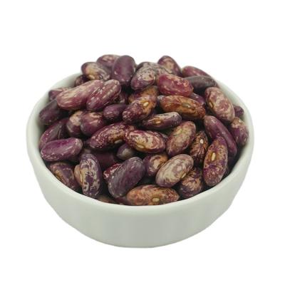 China Premium Dried Kidney Bean Long Purple Spotted Shape Cooking Red Kidney Beans for sale