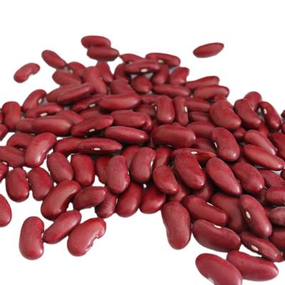 China Canned Food Long Shape Red Bean Dried Dark Red Kidney Britain Beans for sale