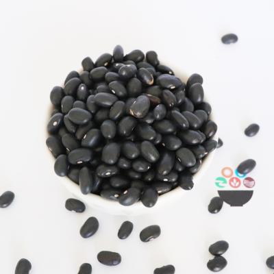 China 2021 Dry Chinese Organic Black Small Beans Price Turtle Beans for sale