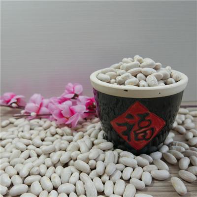 China New cultivation dry white dwarf flageolet bean with best price for sale