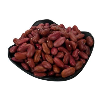 China China Sale CHITKABRA RAJMA Hot Price HPS Small Dried Kidney Kidney Bean for sale