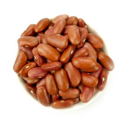 China Dry Well Chose Small Red Kidney Bean Natural Brown for sale