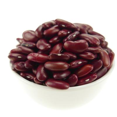 China Kideny bean red/Rajma small/dark red dwarf bean 2021 dry crop buyer for sale