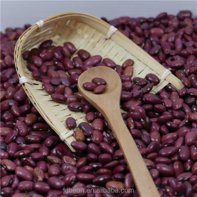 China 2021 small dry red kidney bean from the dwarf bean SHAMILI for sale