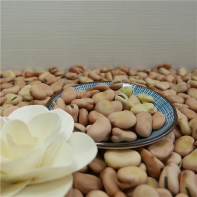 China Wholesale Big Size Dry Bean Dry Bean From China Manufacturer for sale