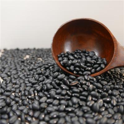 China Dry 2021 New Crop Large Black Dwarf Beans for sale