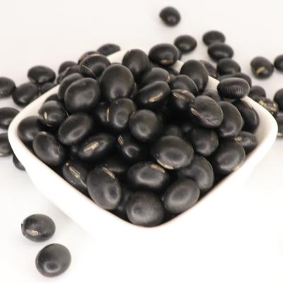 China 6.5mm Core Black Turtkle Bean Big Black Soy Dried Green Beans For Sale for sale