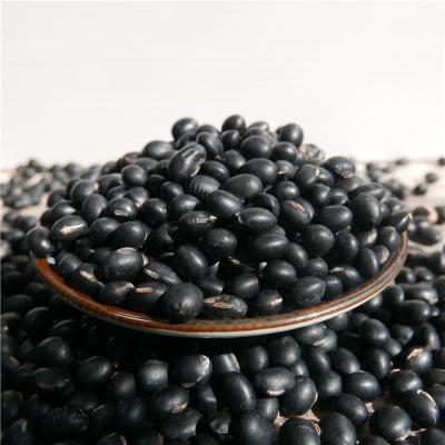 China China Manufacture Dry Black Bean Wholesale Price for sale