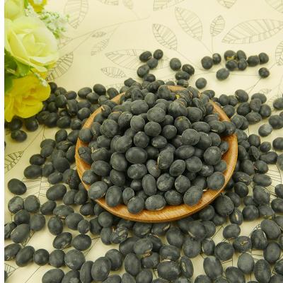 China High Quality Organic Big Dried Black Beans With Yellow Kernel Black Soybean With Green Kernel Factory Price for sale