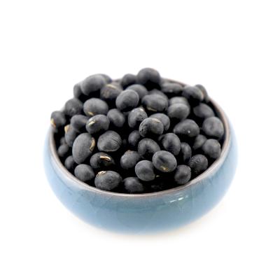 China Food Grade Dried Large Black Beans / Black Soybean Yellow Core Black Soybeans for sale