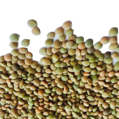 China New Culture Dry Chinese Dried Green Lentils for sale