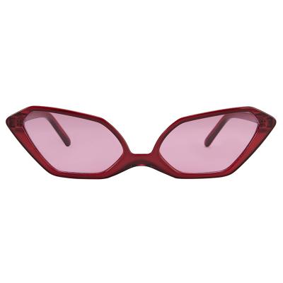 China New fashion sunglasses HSP29535F001 famous style small plastic polygonal cat eye sunglasses for sale