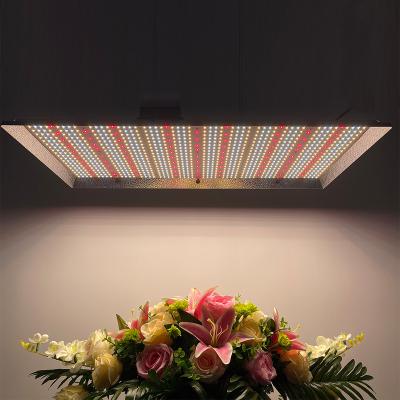 China Seed Starting High Effect LED Grow Light Increase Yields Flower , 480w Grow Lights With Separate LED Driver for sale