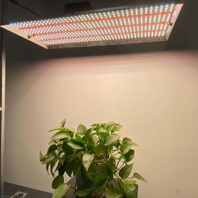 China Seed Starting Lights Item Type Plants Grow Light With 660nm 480W Red LED Grow Light For Greenhouse/Farm/Garden/Tent for sale