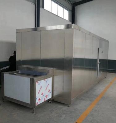 China Industrial deli tunnel blast freezer iqf tunnel instant freezer freezer price for sale