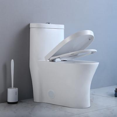 China Concealed Tank OVS CUPC Competitive Price High Quality Water Closet Toilet Flush Toilet Bowl for sale