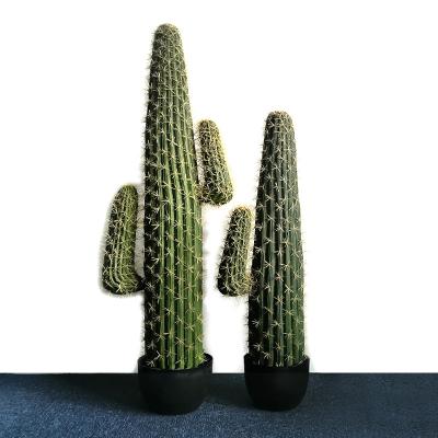 China Wholesale Cheap Artificial Cactus Plant Silk Plant Potted Popular Bonsai Trees For Nordic Style Cactus Home Decor for sale