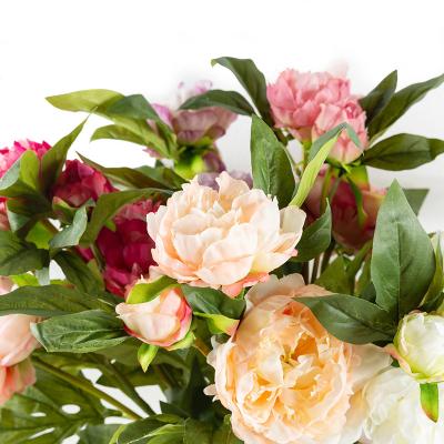 China Wholesale Artificial Touch H137 Peonies Bouquet 3 Heads Large Peony Flower Heads Natural Western Peony Roses Imitation Silk Flowers for sale