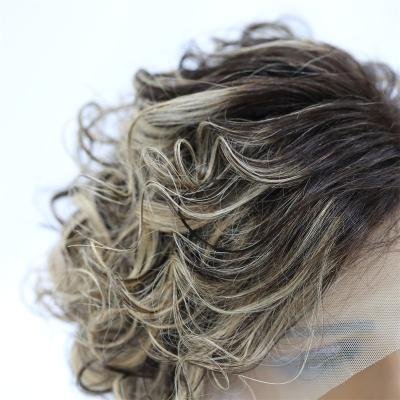 China Swiss Direct Wholesale Natural Hair Wig Good Quality Curly Lace Human Wigs for sale