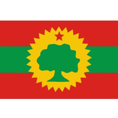 China Healthcare Institutes Good Quality Polyester Cheap Custom Printing Oromia Flag for sale