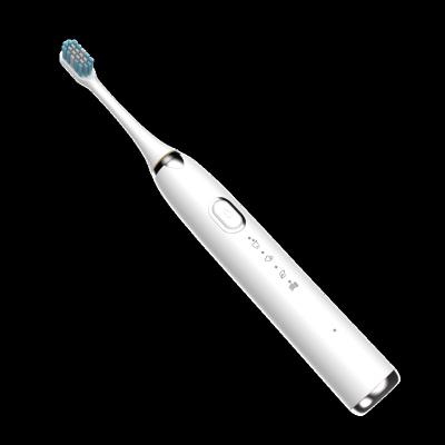 China Hot Selling Classic Battery Operated Sonic Low Noise Electric Electronic Toothbrush for sale