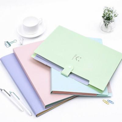 China Plastic Punchless Document File Folder Hanging Expanding PVC Morocco Paper for sale