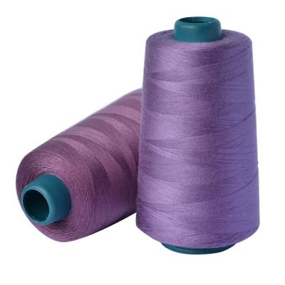 China Best Selling Ne 30/2 High Tenacity 30/3 40/2 40/3 Custom Available Sewing Thread High Tenacity Hilo for sale