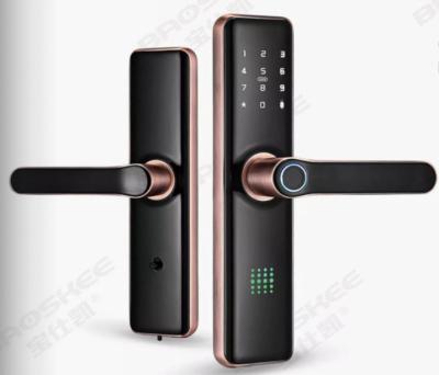 China High quality electric door fingerprint recognition automatic home smart lock waterproof BSK-S1 for sale