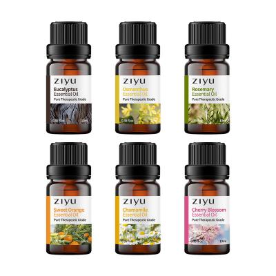 China Moisturizer Essential Oils Gift Set For Massage, Bath, Hair Care, Yoga, Diffuser, Humidifier for sale