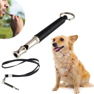 China Viable Retriever Whistle Barking Whistle Dog Training Stainless Steel Whistle Dog Training Toy with Lanyard for sale