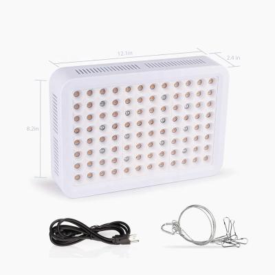 China 2019 Cost Down New Solution Double LED Chips Grow Lights Greenhouse Hydroponics Vertical Farm Plants LED Grow Light for sale