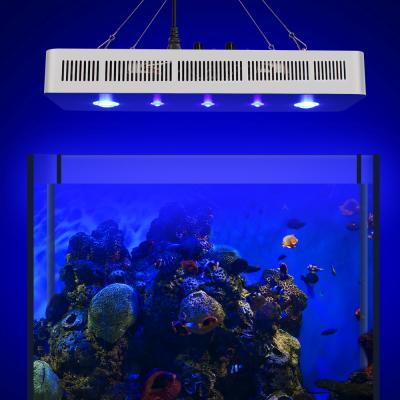 China Beautiful Channel White New Arrival Aquatic Plant Light COB LED Aquarium Light for sale