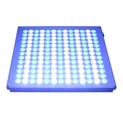 China Best for Coral Reef 35W Marine Aquarium Coral Reef Blue and White Hanging Tank Led Panel Light for sale