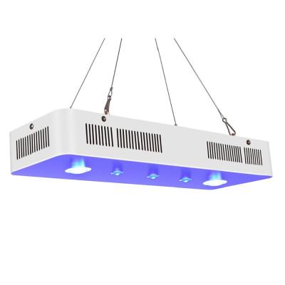 China Three Channel Control WiFi APP Button Control Coral Reef Aquarium Fish Tank Led Lights for sale