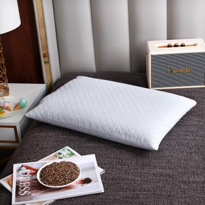 China Anti-Static Comfortable New Design Buckwheat Pillow Decor Reactive Printing Home Bed Pillows for sale