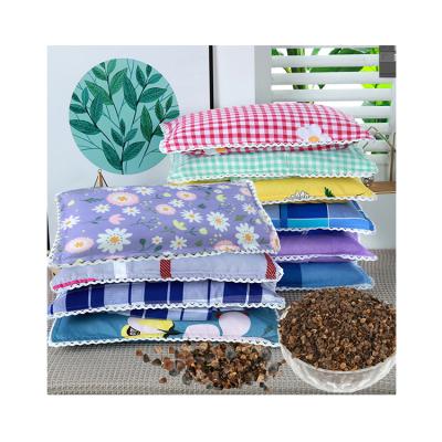 China High Quality Cotton Kids Summer 7-12 Years Pillow Bed Buckwheat Pillows for sale