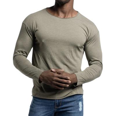 China 2022 Custom Anti-Wrinkle 2022 Fitness Mens Long Sleeves OEM Gym Wear Blank T-shirt Men Add Custom Logo Polyester T-shirt for sale