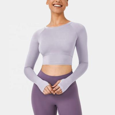 China Custom Breathable Ribbed Quick Dry High Fitness Plain Breathable Neck High Fitness Long Sleeve Slim Fit Crop Top for sale