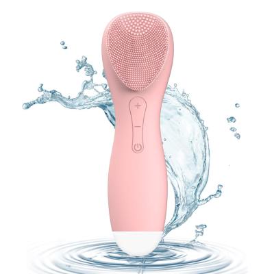 China Peel Revitalizer 2021 Multifunctional Beauty Instrument Rejuvenation Facial Cleansing Device For Women for sale