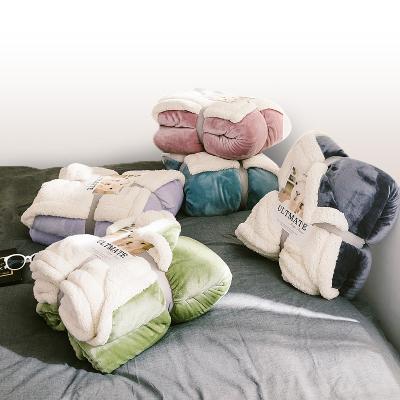 Κίνα Anti-Static Ins Luxury Couch Twin size Thick Blanket Macaron Color Flannel with Sherpa Double Sided Throw Blanket προς πώληση