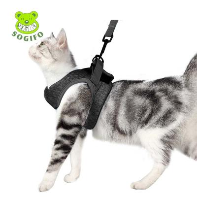 China Custom Wholesaler OEM/Custom Cheap Soft Comfortable Adjustable Vest ODM Fabric Walking Cat Harness Pet Leash Breathable for sale